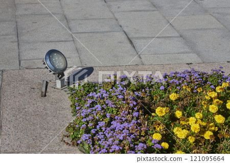 Street lamp, illumination for a flower in square, city park Street lamp, illumination for a flower in square, city park 121095664
