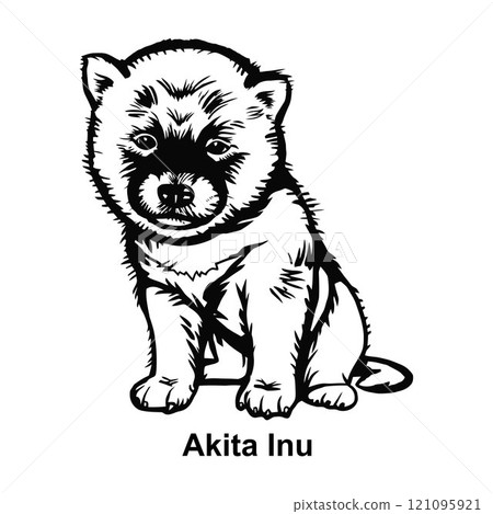 Puppy Akita Inu - Dog Breed, Puppy Breed Vector File, detailed vector 121095921