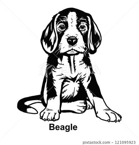 Puppy Beagle - Dog Breed, Puppy Breed Vector File, detailed vector 121095923