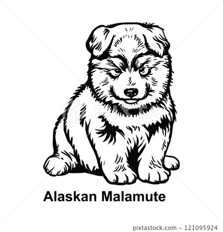 Puppy Alaskan Malamute - Dog Breed, Puppy Breed Vector File, detailed vector 121095924