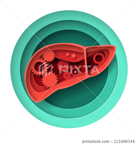 Human liver work process paper cut craft vector illustration Human liver work process paper cut craft vector illustration 121096148