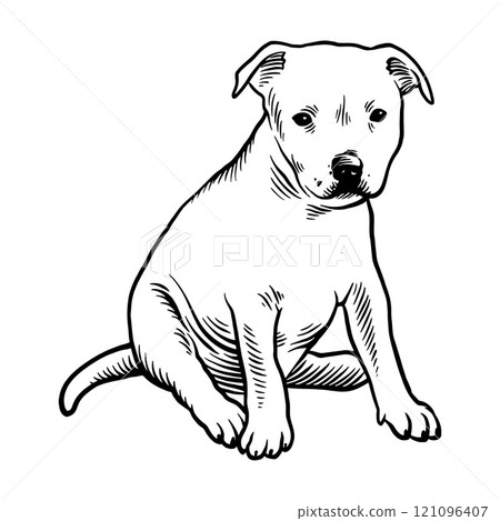 Puppy Staffordshire Bull Terrier - Dog Breed, Puppy Breed Vector File, detailed vector Puppy Staffordshire Bull Terrier - Dog Breed, Puppy Breed Vector File, detailed vector 121096407