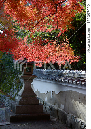 Hiei-san Satobo, Jigen-do, autumn leaves on the approach to the temple, Sakamoto, Otsu City, Shiga Prefecture Hiei-san Satobo, Jigen-do, autumn leaves on the approach to the temple, Sakamoto, Otsu City, Shiga Prefecture 121097090