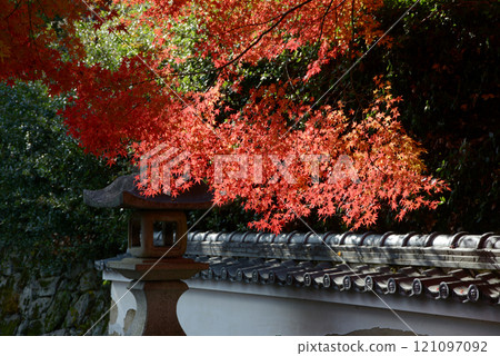 滋賀縣大津坂本比叡山里房次元堂的紅葉 121097092