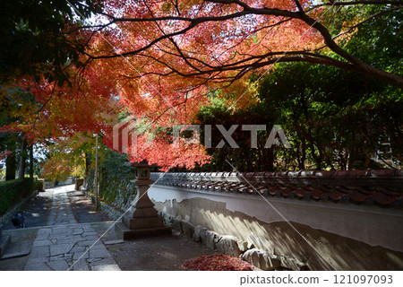 Hiei-san Satobo, Jigen-do, autumn leaves on the approach to the temple, Sakamoto, Otsu City, Shiga Prefecture Hiei-san Satobo, Jigen-do, autumn leaves on the approach to the temple, Sakamoto, Otsu City, Shiga Prefecture 121097093