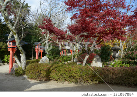 Autumn leaves in the grounds of Ritsuin Temple, Mount Hiei Satobo, Sakamoto, Otsu City, Shiga Prefecture Autumn leaves in the grounds of Ritsuin Temple, Mount Hiei Satobo, Sakamoto, Otsu City, Shiga Prefecture 121097094