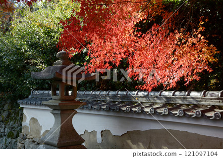 Hiei-san Satobo, Jigen-do, autumn leaves on the approach to the temple, Sakamoto, Otsu City, Shiga Prefecture 121097104