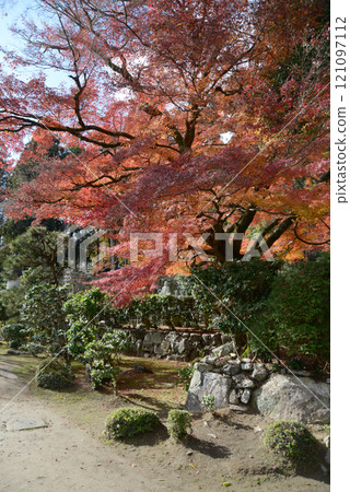 Autumn leaves in the grounds of Jigendo, a satobo temple on Mount Hiei, Sakamoto, Otsu City, Shiga Prefecture 121097112