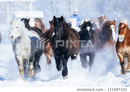 冬天奔跑的馬群 121097183