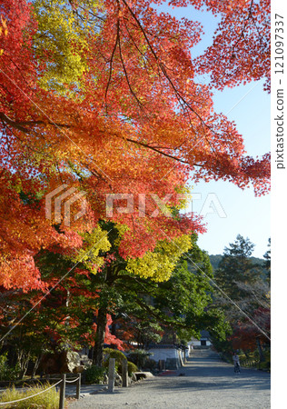 京都市左京區南禪寺院內的紅葉 121097337