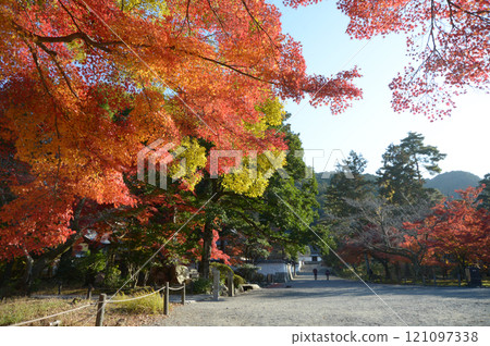 京都市左京區南禪寺院內的紅葉 121097338