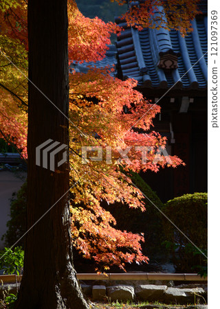 京都市左京區南禪寺院內的紅葉 京都市左京區南禪寺院內的紅葉 121097369
