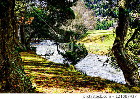 Montgarri Valley next to the Montgarri Sanctuary, located in the municipality of Alto Aran in the Lerida Pyrenees, Catalonia, Spain 121097437