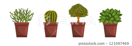 Flower and Plant Growing in Ceramic Pot Vector Set 121097469