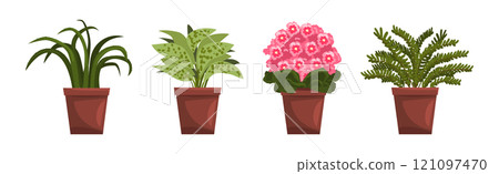 Flower and Plant Growing in Ceramic Pot Vector Set 121097470
