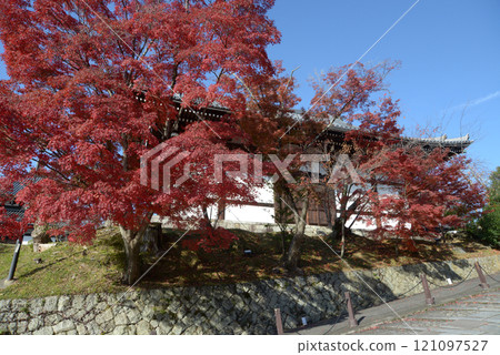 京都市左京區黑屋空海光明寺阿彌陀堂秋葉 京都市左京區黑屋空海光明寺阿彌陀堂秋葉 121097527