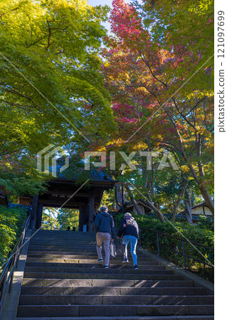 Kamakura in autumn colors Engakuji 121097699