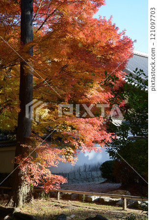Autumn leaves in the grounds of Nanzenji Temple, Sakyo Ward, Kyoto City 121097703
