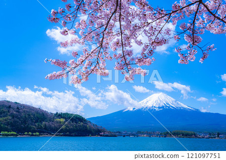[櫻花與富士山] 從河口湖北岸看到的富士山，櫻花盛開[山梨縣] 121097751