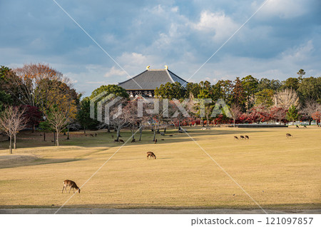奈良公園春日野園地東大寺大佛殿 121097857