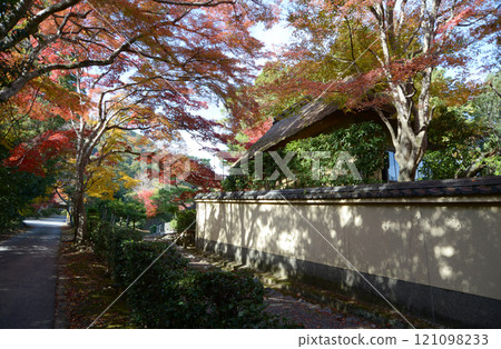 嵯峨野 五龜山天皇陵道路上的紅葉 京都市右京區嵯峨野 121098233