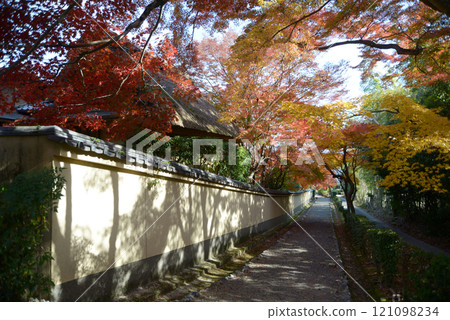 Sagano: Autumn leaves along the approach to Emperor Gokameyama's tomb, Saga, Ukyo Ward, Kyoto City 121098234
