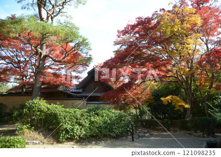 Sagano: Autumn leaves along the approach to Emperor Gokameyama's tomb, Saga, Ukyo Ward, Kyoto City 121098235
