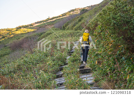 Zao mountain Yamagata Japan, Hiker on a trail surrounded by lush greenery. Zao mountain Yamagata Japan, Hiker on a trail surrounded by lush greenery. 121098318