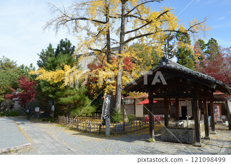Seiryoji Temple, Chozuya and yellow ginkgo leaves, Saga, Ukyo Ward, Kyoto City Seiryoji Temple, Chozuya and yellow ginkgo leaves, Saga, Ukyo Ward, Kyoto City 121098499