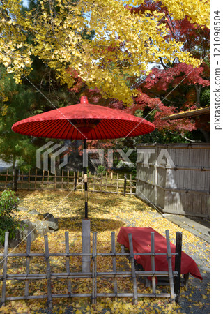 Seiryoji Temple: Yellow ginkgo leaves and outdoor tea ceremony umbrellas, Saga, Ukyo Ward, Kyoto City Seiryoji Temple: Yellow ginkgo leaves and outdoor tea ceremony umbrellas, Saga, Ukyo Ward, Kyoto City 121098504