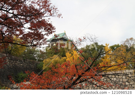 Osaka Castle Park colored by autumn leaves Osaka Castle Park colored by autumn leaves 121098528