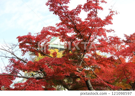 大阪城公園,秋葉色彩繽紛 大阪城公園,秋葉色彩繽紛 121098597