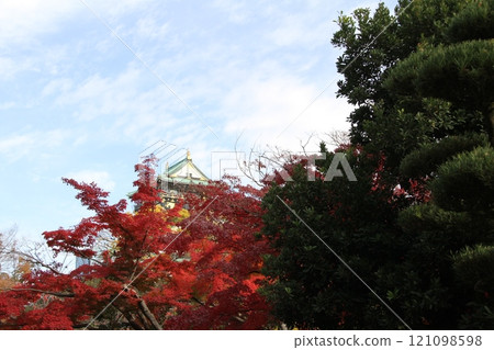 大阪城公園,秋葉色彩繽紛 大阪城公園,秋葉色彩繽紛 121098598
