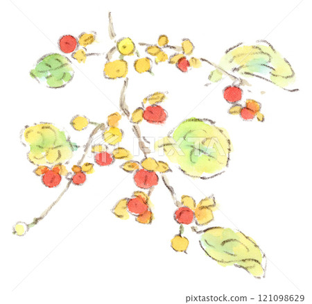 秋季植物,帶有美麗紅色漿果和黃色圖案的刺莓水彩插圖 秋季植物,帶有美麗紅色漿果和黃色圖案的刺莓水彩插圖 121098629