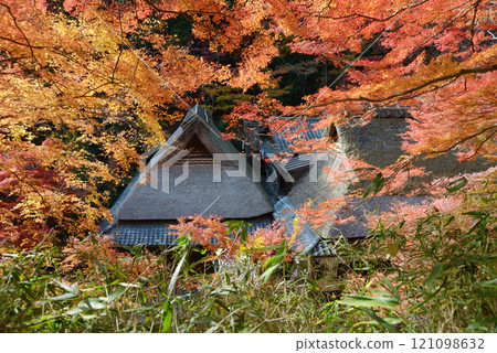Sagano - Thatched roofs and autumn leaves, Saga, Ukyo Ward, Kyoto City Sagano - Thatched roofs and autumn leaves, Saga, Ukyo Ward, Kyoto City 121098632