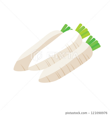 Isometric_three-dimensional and simple illustration of radish 121098976