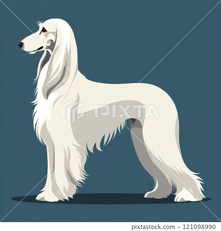 Full body illustration of a white Afghan hound Full body illustration of a white Afghan hound 121098990