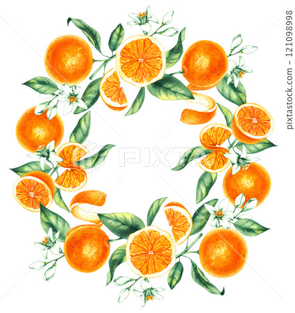 Watercolor orange tropical fruit hand drawn 121098998
