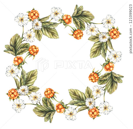Cloudberry hand-drawn wreath frame watercolor Cloudberry hand-drawn wreath frame watercolor 121099023