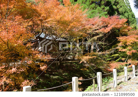 關竹神社的秋葉 關竹神社的秋葉 121099500
