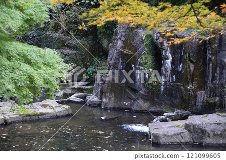 冠岳花川薩博 121099605