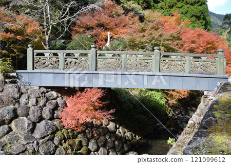Autumn leaves of Kanmuridake Shrine Autumn leaves of Kanmuridake Shrine 121099612