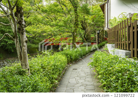 Izu Shuzenji, Path along the Katsura River, Izu City, Shizuoka Prefecture 121099722