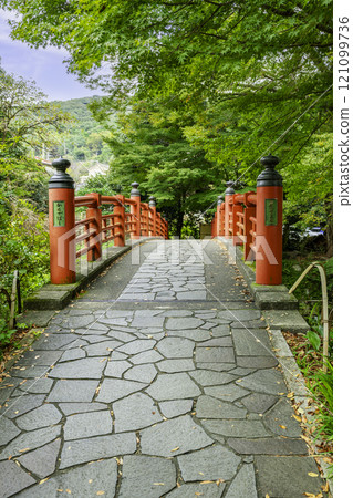 伊豆修善寺楓橋 靜岡縣伊豆市 伊豆修善寺楓橋 靜岡縣伊豆市 121099736