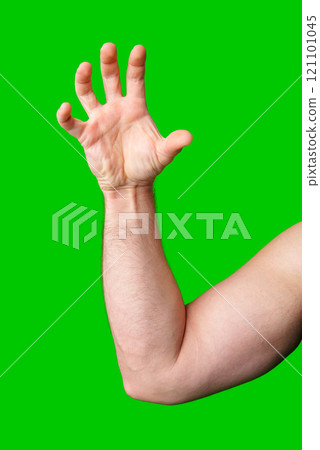 A close-up of a male arm with an outstretched hand against a bright green background 121101045