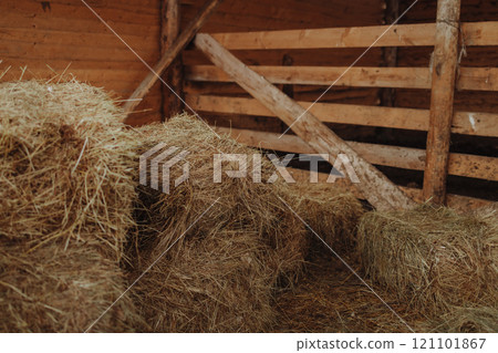 Hay bales stacked in old wooden barn on historic cattle ranch Hay bales stacked in old wooden barn on historic cattle ranch 121101867