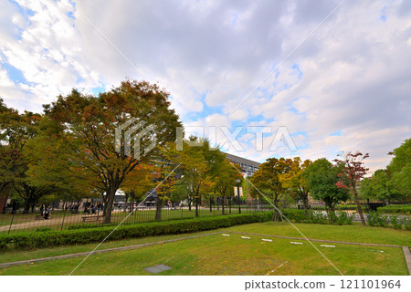 <Aichi Prefecture> Nagoya cityscape: Noritake Forest in autumn 121101964