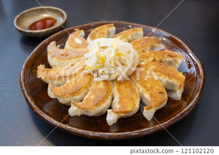 Hamamatsu specialty "Hamamatsu gyoza" 121102120