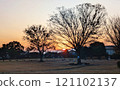 早晨太陽升起的冬季公園 121102137