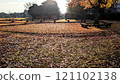 公園裡的落葉，冬季公園 121102138